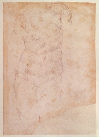 Studio di un nudo femminile da Michelangelo Buonarroti